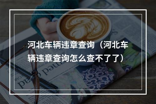 河北车辆违章查询（河北车辆违章查询怎么查不了了）