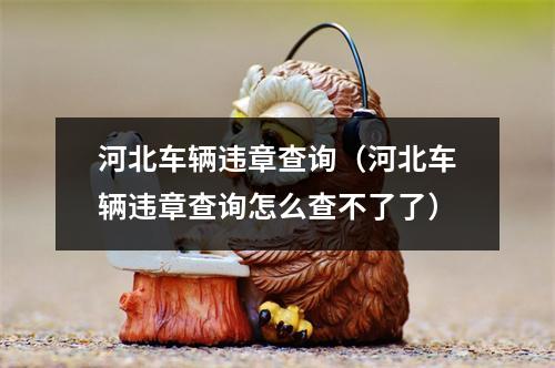 河北车辆违章查询（河北车辆违章查询怎么查不了了）
