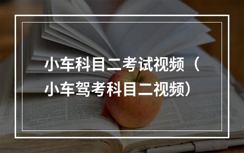 小车科目二考试视频（小车驾考科目二视频）