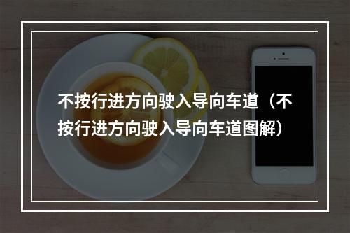 不按行进方向驶入导向车道（不按行进方向驶入导向车道图解）