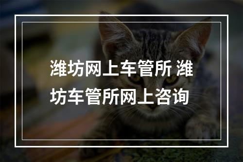 潍坊网上车管所 潍坊车管所网上咨询
