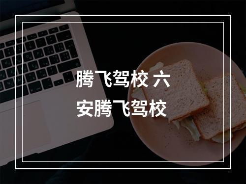 腾飞驾校 六安腾飞驾校