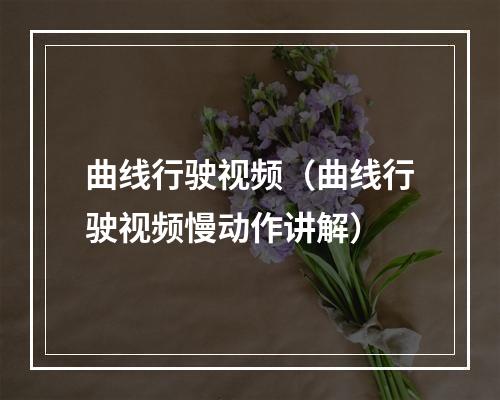 曲线行驶视频（曲线行驶视频慢动作讲解）