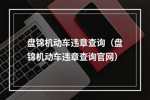 盘锦机动车违章查询（盘锦机动车违章查询官网）