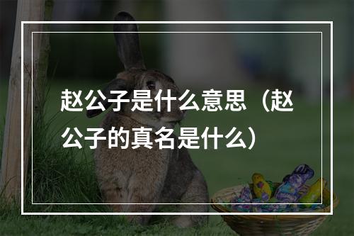 赵公子是什么意思（赵公子的真名是什么）