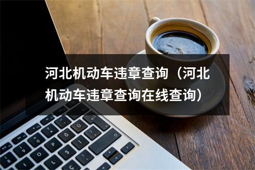 河北机动车违章查询（河北机动车违章查询在线查询）