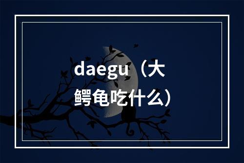daegu（大鳄龟吃什么）