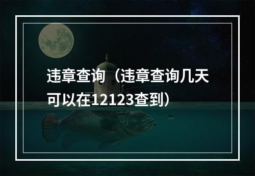 违章查询（违章查询几天可以在12123查到）