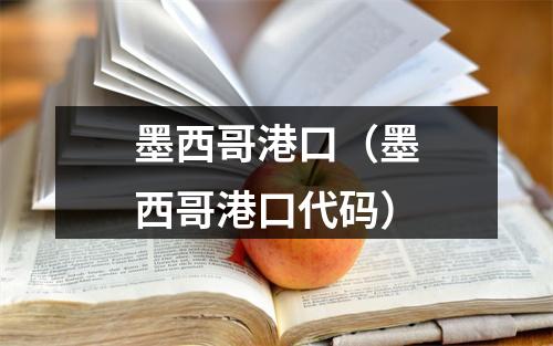 墨西哥港口（墨西哥港口代码）
