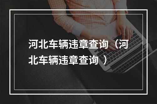河北车辆违章查询（河北车辆违章查询  ）