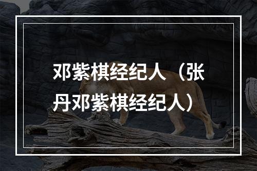 邓紫棋经纪人（张丹邓紫棋经纪人）
