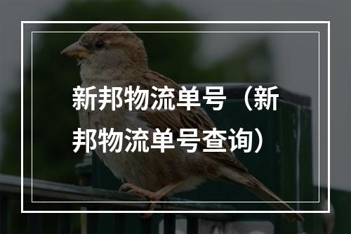 新邦物流单号（新邦物流单号查询）