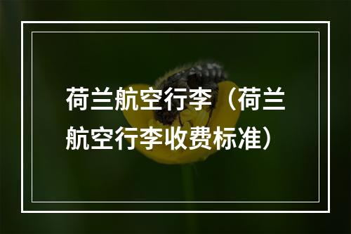 荷兰航空行李（荷兰航空行李收费标准）