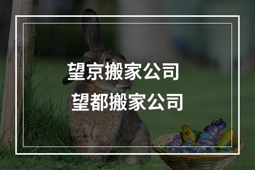 望京搬家公司   望都搬家公司