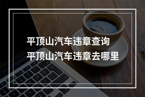 平顶山汽车违章查询 平顶山汽车违章去哪里