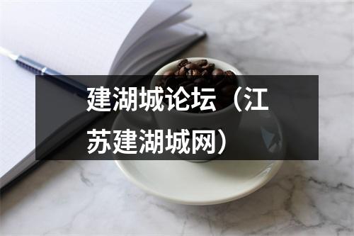 建湖城论坛（江苏建湖城网）