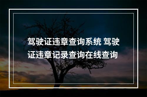 驾驶证违章查询系统 驾驶证违章记录查询在线查询