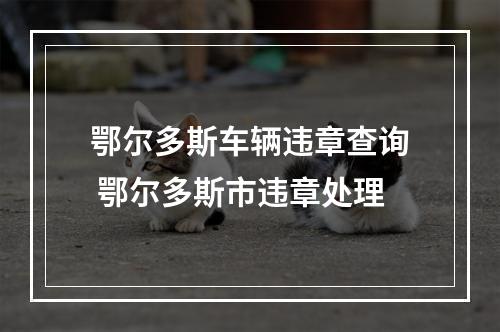 鄂尔多斯车辆违章查询 鄂尔多斯市违章处理