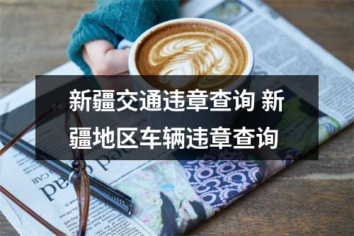 新疆交通违章查询 新疆地区车辆违章查询