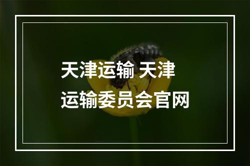 天津运输 天津运输委员会官网