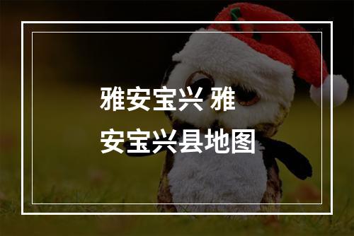 雅安宝兴 雅安宝兴县地图
