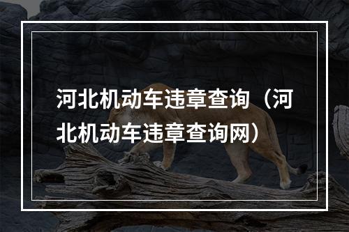 河北机动车违章查询（河北机动车违章查询网）