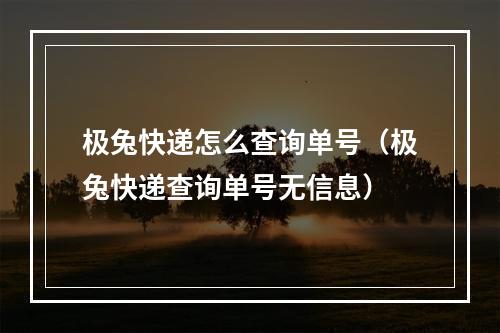 极兔快递怎么查询单号（极兔快递查询单号无信息）