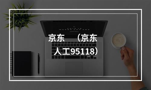 京东    （京东      人工95118）