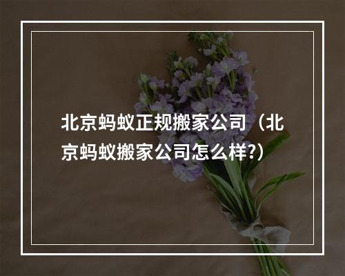 北京蚂蚁正规搬家公司（北京蚂蚁搬家公司怎么样?）