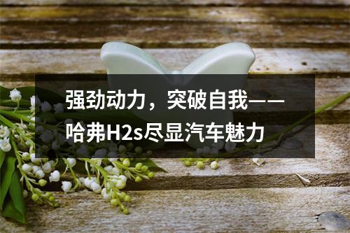 强劲动力，突破自我——哈弗H2s尽显汽车魅力