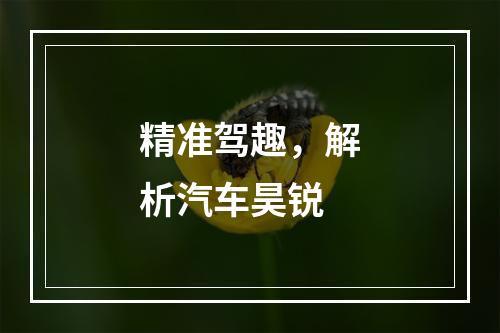 精准驾趣，解析汽车昊锐