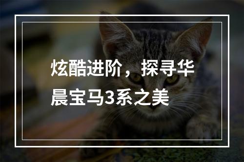 炫酷进阶，探寻华晨宝马3系之美