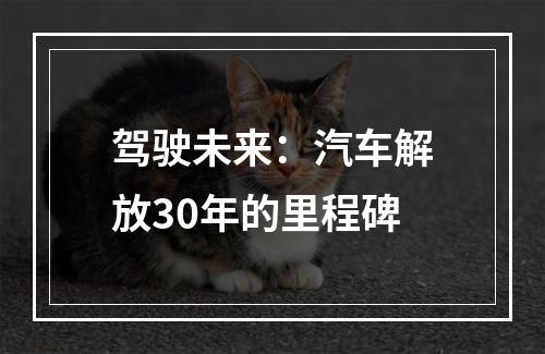 驾驶未来：汽车解放30年的里程碑