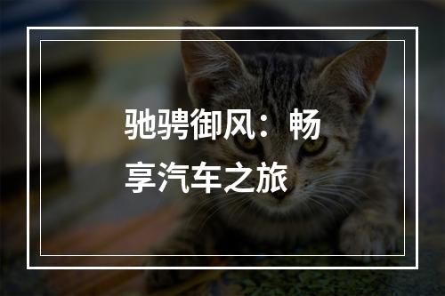 驰骋御风：畅享汽车之旅