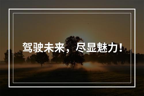 驾驶未来，尽显魅力！