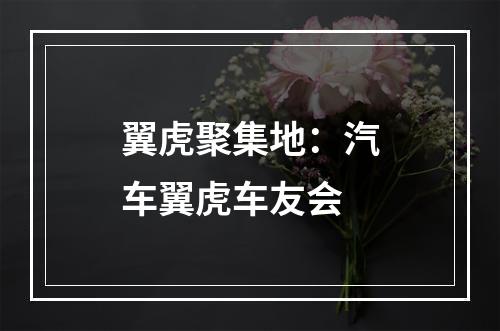 翼虎聚集地：汽车翼虎车友会