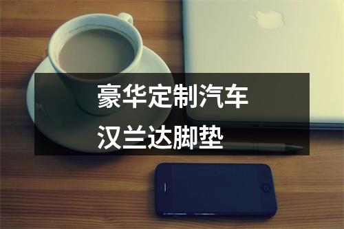 豪华定制汽车汉兰达脚垫