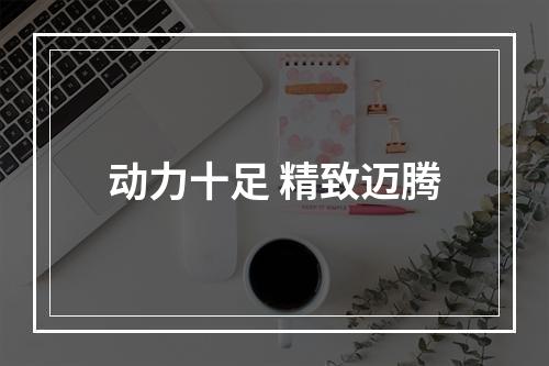 动力十足 精致迈腾