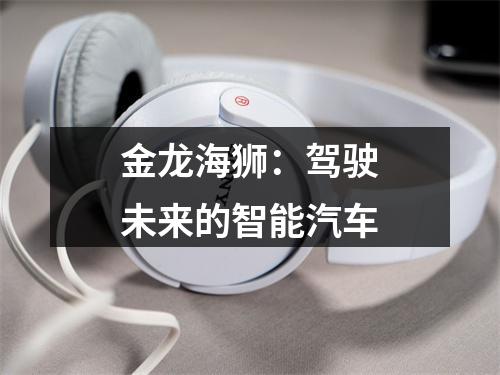 金龙海狮：驾驶未来的智能汽车