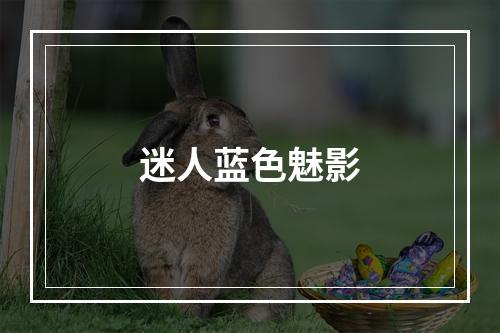 迷人蓝色魅影