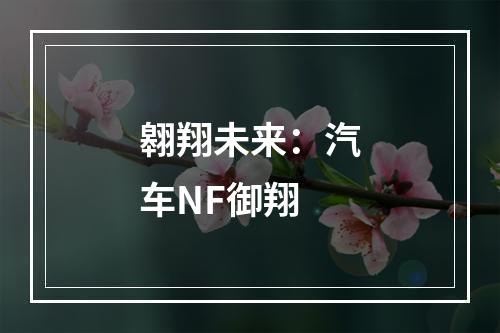 翱翔未来：汽车NF御翔