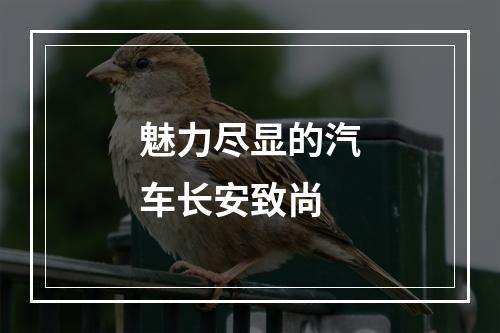 魅力尽显的汽车长安致尚