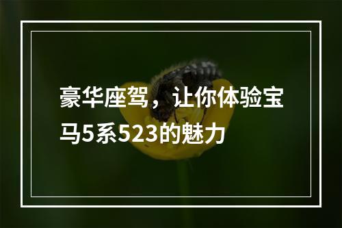 豪华座驾，让你体验宝马5系523的魅力