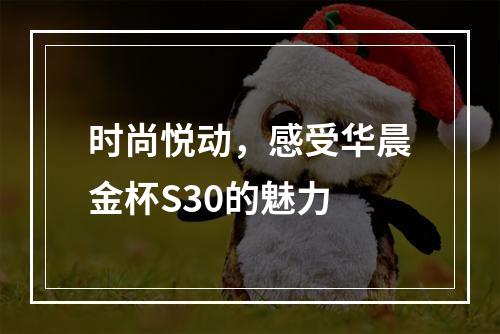 时尚悦动，感受华晨金杯S30的魅力