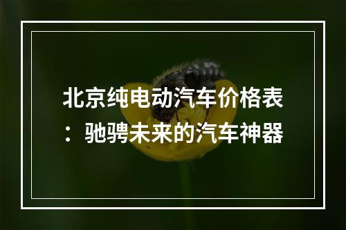 北京纯电动汽车价格表：驰骋未来的汽车神器
