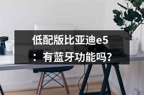 低配版比亚迪e5：有蓝牙功能吗？