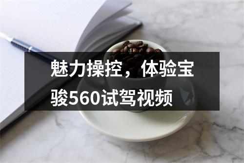 魅力操控，体验宝骏560试驾视频