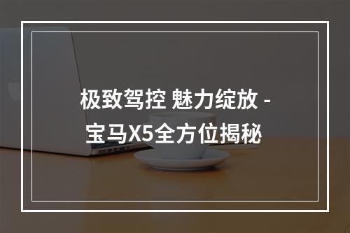 极致驾控 魅力绽放 - 宝马X5全方位揭秘