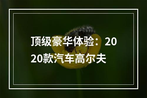顶级豪华体验：2020款汽车高尔夫