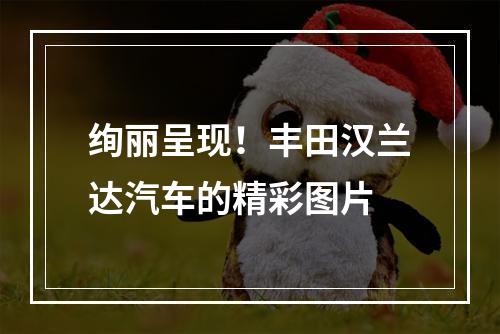 绚丽呈现！丰田汉兰达汽车的精彩图片
